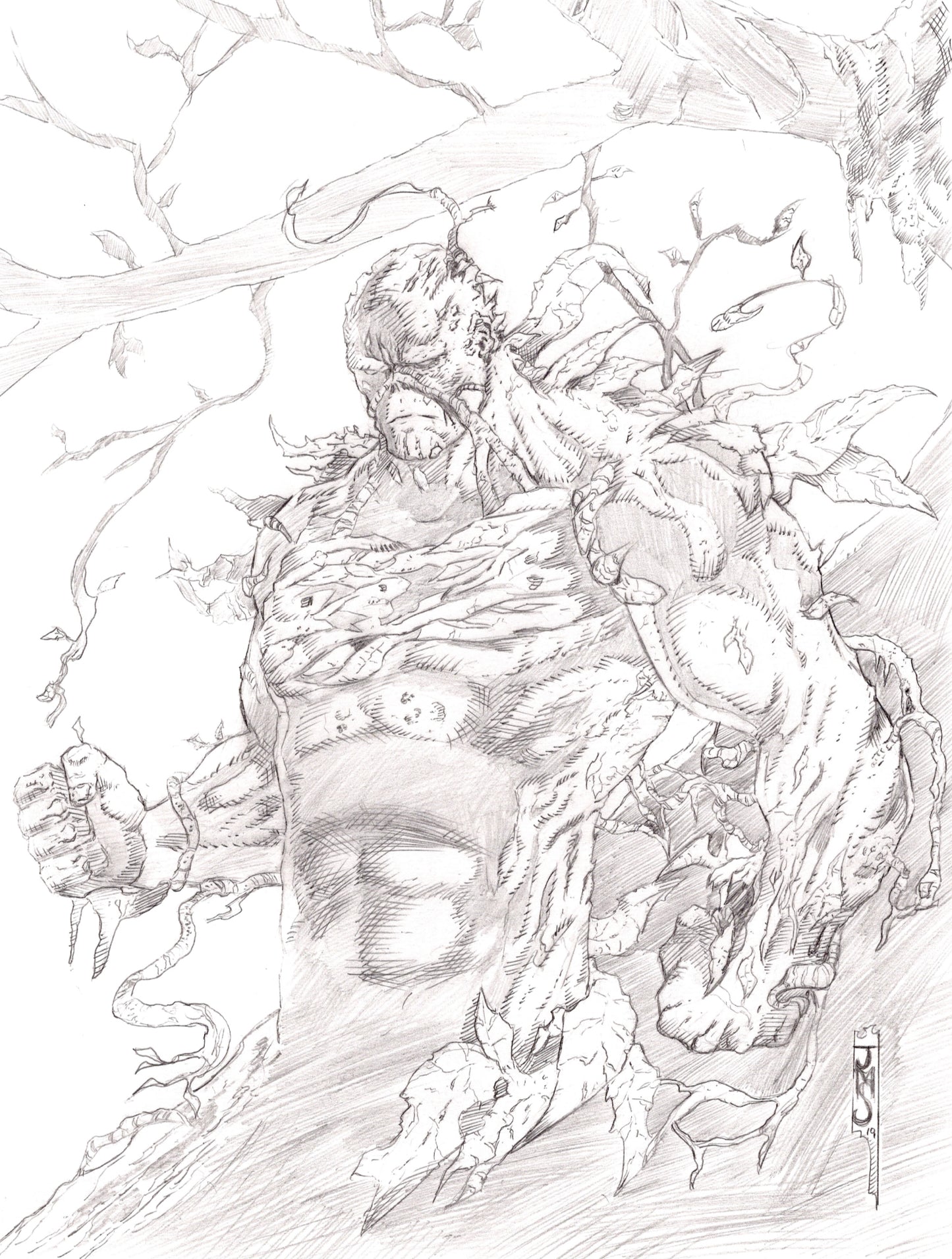 Swamp Thing 9x12