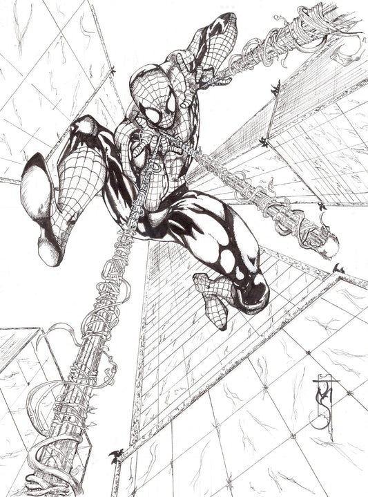 Spider Man 9x12
