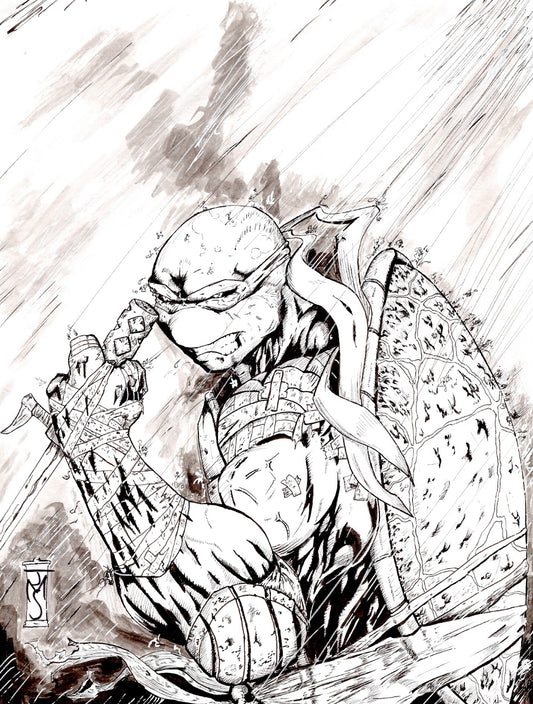 TMNT Raphael Ink Wash 9x12