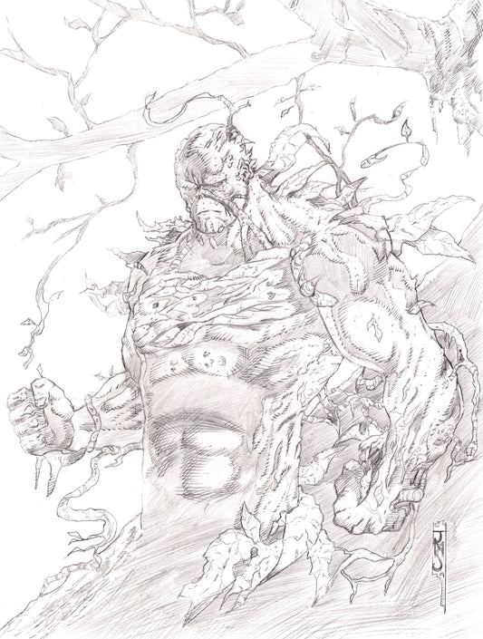 Swamp Thing 9x12