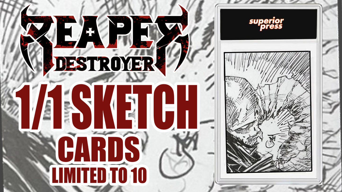 1/1 Card Slabbed Sketch Cards
